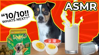 Doggie Snack Time Eggs Yogurt Treats Milk Protein bar ASMR [upl. by Innej]