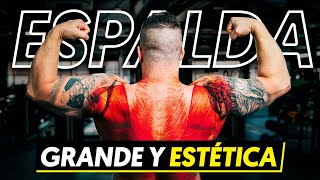 CÓMO DESARROLLAR UNA ESPALDA GRANDE Y ESTÉTICA  Anatomía Biomecánica y Mejores Ejercicios [upl. by Brodie]