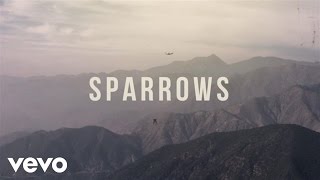 Jason Gray  Sparrows Official Lyric Video [upl. by Nnylhtak]