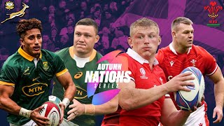 SPRINGBOKS vs WALES PREVIEW AND WEEKEND PREDICTIONS [upl. by Aldus]