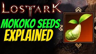 MOKOKO SEEDS EXPLAINED in Lost Ark  All Rewards amp Why to collect [upl. by Ahseekat]