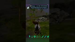 Equus taming Struggle is realark mobile [upl. by Haianeb]