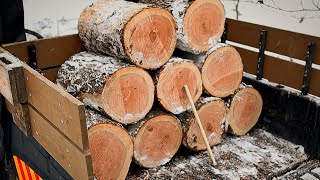 6 DIY Hack To Cut Perfect Firewood [upl. by Eniluj92]