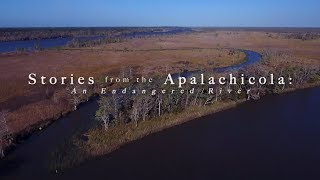 Stories from the Apalachicola An Endangered River [upl. by Orhtej]