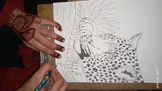 leopard drawing 💐😍😄 [upl. by Corabel]