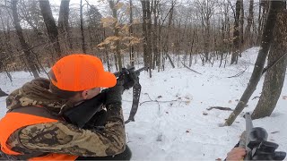 Tracking Deer In Massachusetts Public Land Deer Hunting Muzzleloader Season 2022 [upl. by Katee]