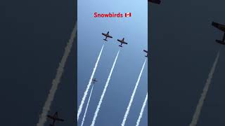 Snowbirds 🇨🇦 snowbirds aerogatineau jets airshow [upl. by Nongim859]