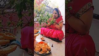 Jai Tulsi maiya 🙏 Katki poojan shorts youtubeshorts trending sanatandharma viralvideo [upl. by Rizika]