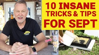 Beekeeping 10 Insane Tricks amp Tips For September [upl. by Moclam751]