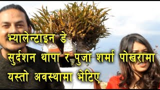 Sudarshan Thapa And Pooja Sharma ।। सुर्दशन र पुजा के गर्दैछन पोखरा कास्कीकोट देउरालीमा  ।। [upl. by Corilla540]