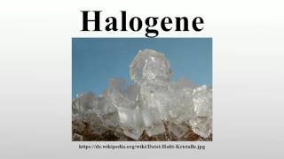 Halogene [upl. by Etnuaed829]