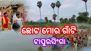 ଛୋଟ ମୋର ଗାଁଟି। Chhota Mora Gaan Ti l Tapurasinga l Liricist Sachidananda Rautray shortsvideoreels [upl. by Anassor]