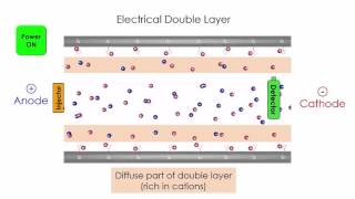 Capillary Electrophoresis [upl. by Imim]