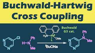 バックワルド・ハートウィグ クロスカップリング BuchwaldHartwig Cross Couplingの反応機構【カップリング反応】 [upl. by Kacey]