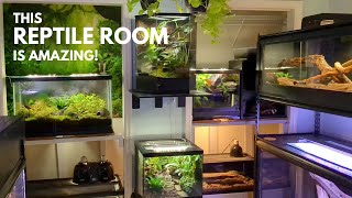 Reptile Room Tour  Fall 2023 [upl. by Oicnaneb]