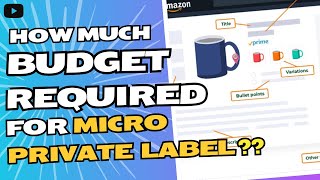 How Much Budget Required to Build Micro Private Label   For Beginners [upl. by Lorimer]