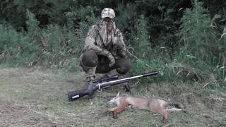 Daytime Fox Control with a 22250 Rifle [upl. by Trabue]