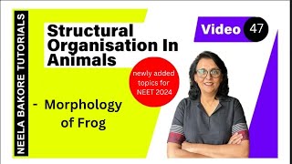 Morphology of Frog  NEET 2024  Neela Bakore Tutorials [upl. by Stretch540]