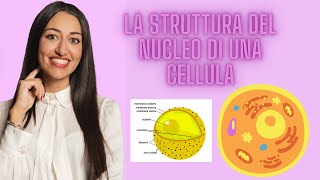 LA STRUTTURA DEL NUCLEO  CELLULA EUCARIOTE [upl. by Langille]