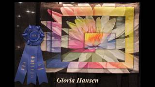 Houston Quilt Festival 2011  1st Prize Category Winners [upl. by Auhsoj]