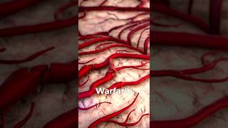 Warfarin Toxicity Reversal Explained [upl. by Lectra]