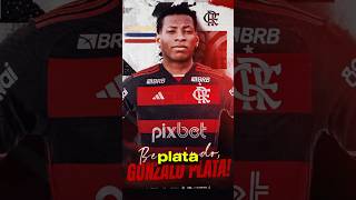 FLAMENGO anuncia a CONTRATAÇÃO de GONZALO PLATA até 2029🖤❤️ flamengo mengão mengo shorts crf [upl. by Alicea]