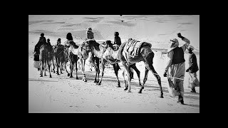 UAE  HISTORY of ABU DHABI Full AMAZING Documentary [upl. by Eiramnerual]