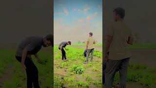 youtube  Dohan de pindan Sahara ta ek hi Narowal a pinda domala village farming pinda [upl. by Ailsa647]