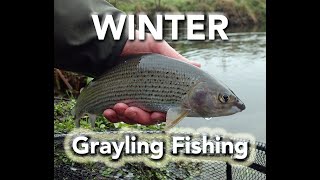 How to Winter Grayling Fly Fishing [upl. by Lyrahs]