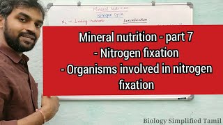 Mineral nutrition  Part 7  Nitrogen fixation [upl. by Anihsat244]