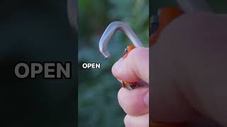 New leash carabiner ASMR 🎧 doglife bestdogleash climbinginspiredgear [upl. by Kinemod849]