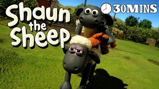 Little Sheep of Horrors x3 Episodes  Season 1 DVD Collection  Shaun the Sheep [upl. by Frances]