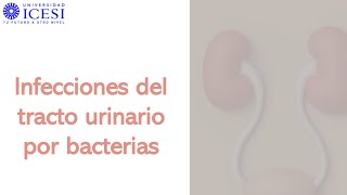 Infecciones Tracto Urinario  Proteus E Coli Saprophyticus Enterococcus [upl. by Debbi]