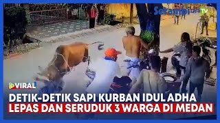 Detikdetik Lembu untuk Kurban Idul Adha Lepas Lalu Seruduk 3 Warga di Medan [upl. by Riccio]