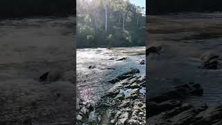 Warrandyte State Park  VIC Australia park lake river camping hike asmr relax outback [upl. by Noiram]