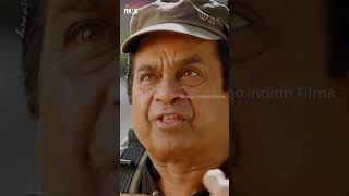 😅😅😅 racegurram alluarjun Shurtihaasan prakashraj  Telugu Comedy Scene [upl. by Benoite]