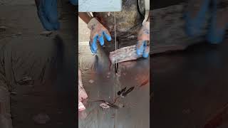 Amazing Fish Cutting Skills l Big Rohu Fish Cutting By Machine In Fish Marketshortvideo [upl. by Nosreip]