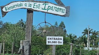 Besuch auf der Estancia Filadelphia Paraguay [upl. by Sarine]