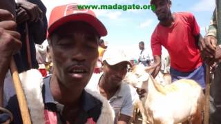 Ambovombe Vokatry ny Kere 21 02 2016 [upl. by Ardeth]