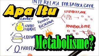 Apa itu Metabolisme  Anabolisme dan Katabolisme [upl. by Yona]