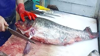 Amazing Skills Bighead Fillet  How To Clean Fish [upl. by Trik]