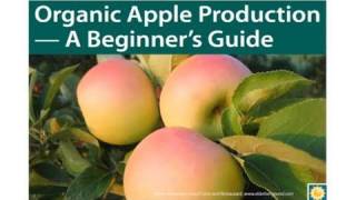 Organic Apple Production  A Beginners Guide [upl. by Oiciruam]