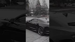 Chevrolet Camaro ZL1 Sound 🔊 camaro zl1 [upl. by Clarkson]