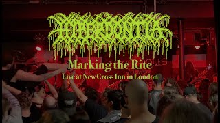 Hyperdontia  Marking the Rite 25052024 at New Cross Inn in London  Necropolis VOL II [upl. by Jeniece]