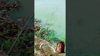 fishing nature carp carpfishing [upl. by Trista]