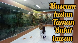 Museum hutan Taman Bukit tawau [upl. by Alleber]