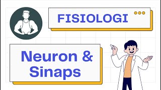 Fisiologi Sel Neuron dan Proses Sinapsis Saraf  Neurologi [upl. by Jacinta775]