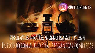 Fragancias Animálicas Fluoscents ft Proaroma [upl. by Cherish523]