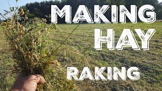 Making Hay  Raking Hay Into Wind Rows [upl. by Eramal]