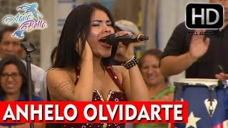 AGUA BELLA 2018  ANHELO OLVIDARTE  DOMINGOS DE FIESTA TV PERU 2018 HD 1080p FULL AUDIO [upl. by Ainahpets834]